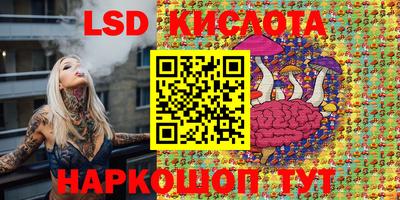 эйфоретик Кандалакша