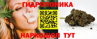 эйфоретик Кандалакша