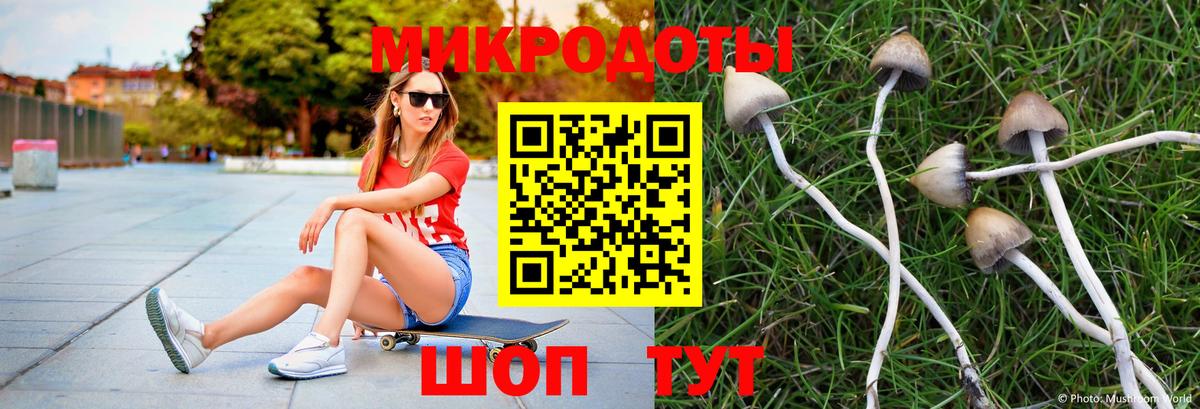 Псилоцибиновые грибы Psilocybe  закладка  Зеленокумск  Галлюциногенные грибы мухоморы  Вход с VPN 